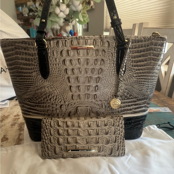 Brahmin medium Asher - Picture 1 of 4